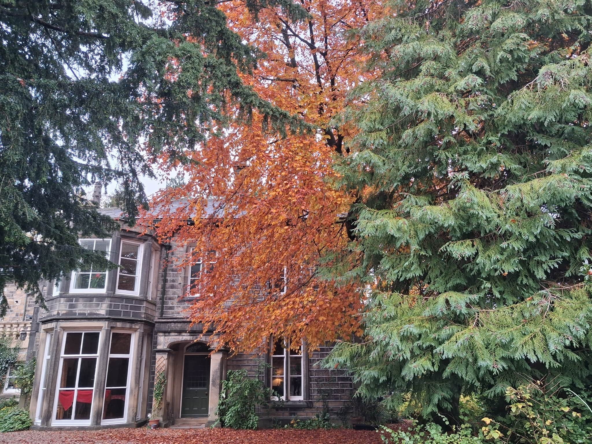 Property photo 13